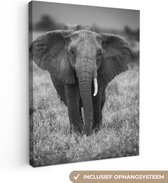 Canvas - Canvas schilderij - Schildersdoek canvas - Wanddecoratie - Muurdecoratie - Olifant - Dieren - Safari - Wildlife - 90x120 cm