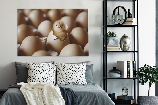 Trappes de poussin de 120x80 cm - Tirage photo sur toile (Décoration murale salon / chambre) / Peintures sur toile Animaux de la ferme