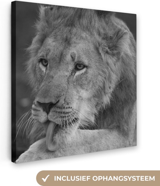 Tableau Toile Lion - Portrait - Zwart - 90x90 cm - Décoration murale