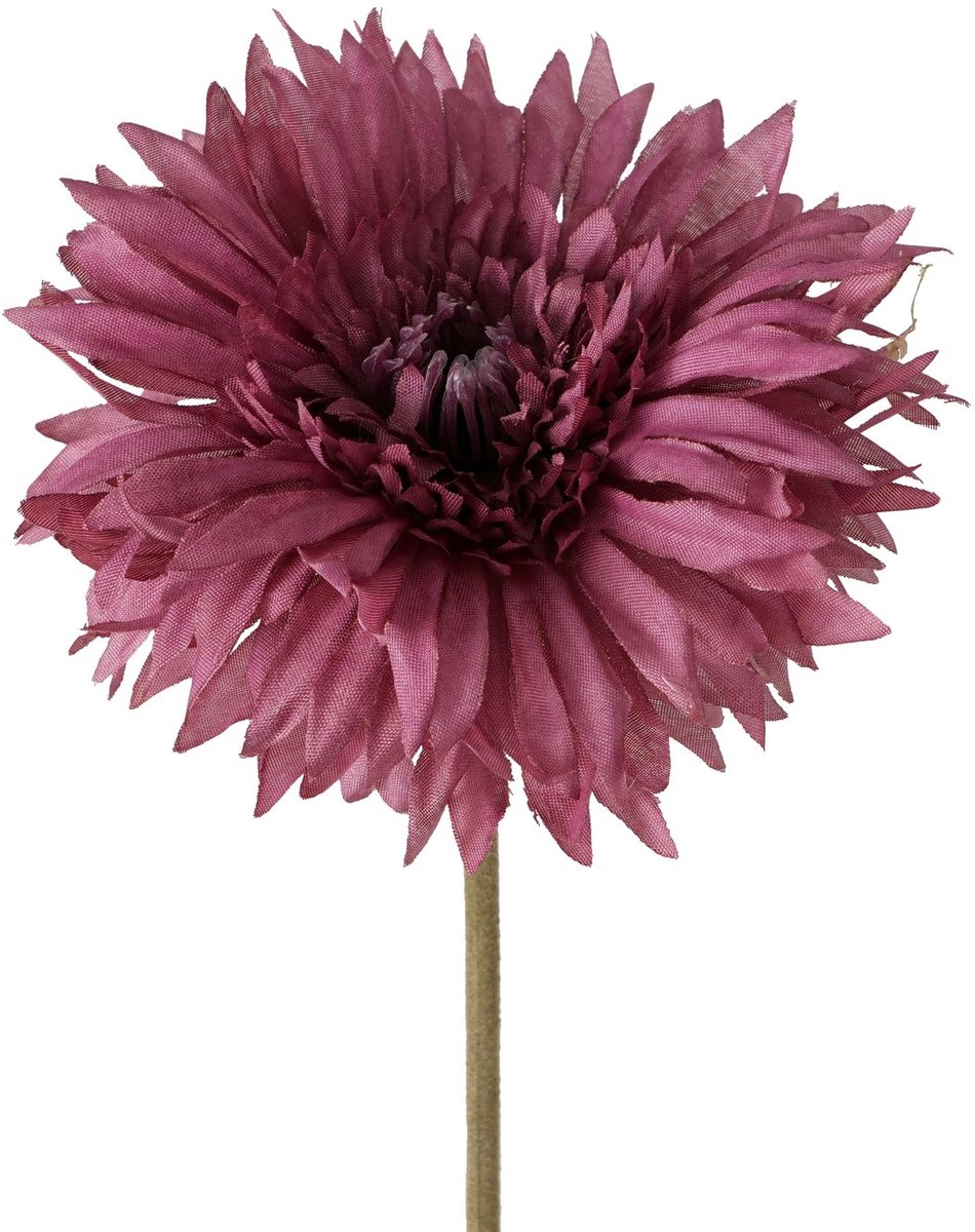 Boltze Home Kunstbloem Donkerpaars H64cm dia12cm