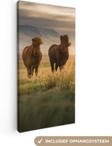 Canvas Schilderij Paarden - Lucht - Gras - 40x80 cm - Wanddecoratie