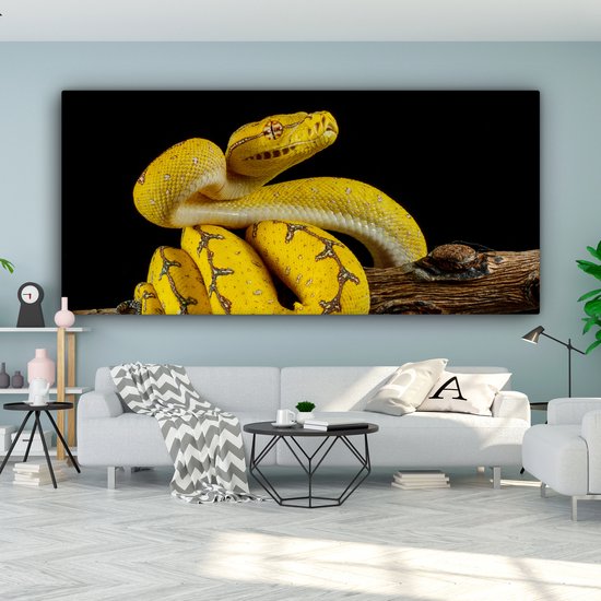 Tableau Peinture Serpent - Branche - Jaune - 160x80 cm - Décoration murale
