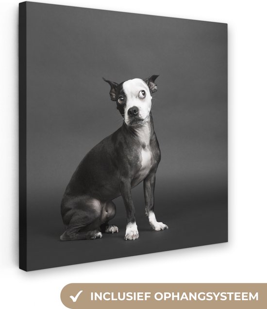 Canvas Schilderij Hond - Vlek - Portret - 20x20 cm - Wanddecoratie