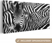 Canvas Schilderij Zebra zwart-wit fotoprint - 40x20 cm - Wanddecoratie