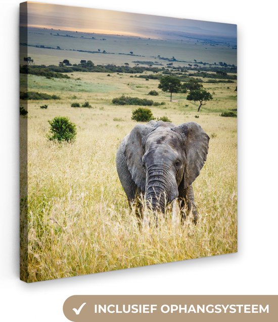 Canvas Schilderij Olifant - Dieren - Landschap - Zon - Natuur - 90x90 cm - Wanddecoratie