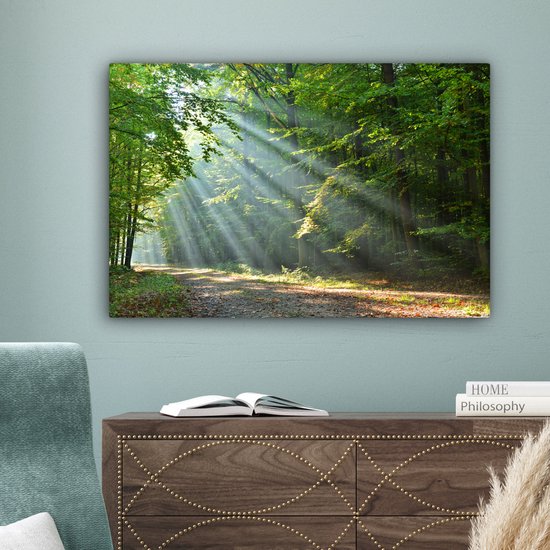 Zonnestralen op een bosweg, hangend boven een dressoir.