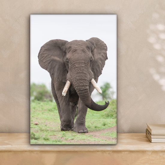Peintures sur toile - Éléphant venant en sens inverse - 20x30 cm - Décoration murale