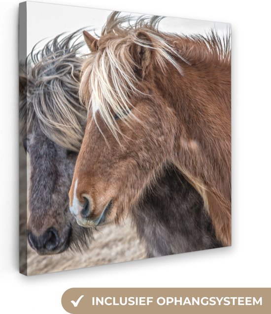 Canvas Schilderij Paarden - Natuur - Macro - 50x50 cm - Wanddecoratie