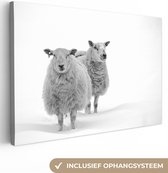 Toile de mouton dans la neige 90x60 cm - Tirage photo sur toile (Décoration murale salon / chambre) / Peintures sur toile Animaux de la ferme