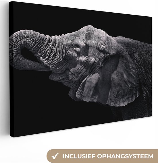 Elephant avec sa trompe dans sa bouche en toile noir et blanc 2cm 90x60 cm - impression photo sur toile peinture (Décoration murale salon / chambre à coucher) / Animaux sauvages Peintures Toile