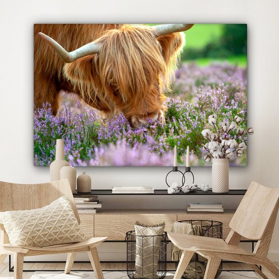 Close-up highlander écossais sent la toile de bruyère violette 2cm