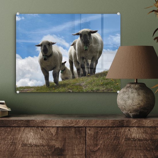 MuchoWow® Glasschilderij 40x30 cm - Schilderij acrylglas - Schapen - Berg - Alpen - Foto op glas - Schilderijen