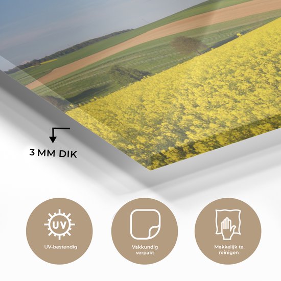 MuchoWow® Peinture sur verre 60x40 cm - Peinture sur verre acrylique - Printemps - Fleurs - Jaune - Photo sur verre - Peintures