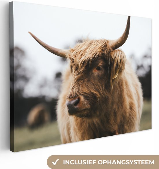 Tableau sur toile Scottish Highlander - Animaux - Cornes - 40x30 cm - Décoration murale