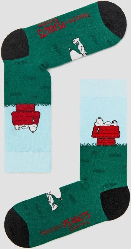 Grappige Sokken met Snoopy en huis in Bio katoen maat 36-40 - Snoopy - Zacht - Trendy geschenk - Trendy Cadeau - Verjaardag - Geschenk