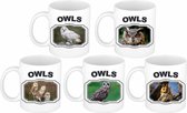 5x Dieren vogels Uilen drink mokken 300 ml - Oehoe, ransuil, kerkuil, velduil en sneeuwuil - Koffie/thee cadeau mokken