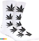 ***Wietsokken - Cannabissokken - Cannabis - Unisex sokken - Maat 36-45 - van Heble®***