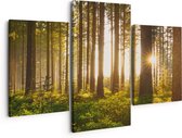 Artaza Canvas Schilderij Drieluik Bos met Zon tussen de Bomen - 150x120 - Groot - Foto Op Canvas - Canvas Print