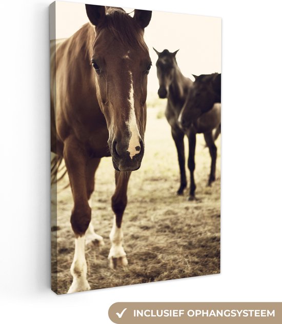 Paarden sepia  Canvas 40x60 cm - Foto print op Canvas schilderij (Wanddecoratie)