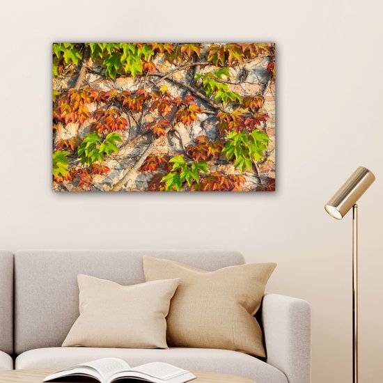 Feuilles d'Hedera rouges et vertes sur un mur de pierre Toile 180x120 cm - Tirage photo sur Toile (Décoration murale salon / chambre) XXL / Grand format!