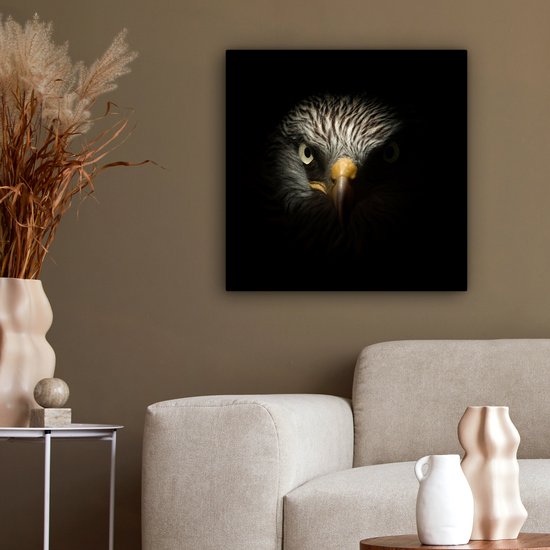 Tableau sur toile Vogel - Aigle - Rapaces - Oeil - Bec - Lumière - 50x50 cm - Décoration murale