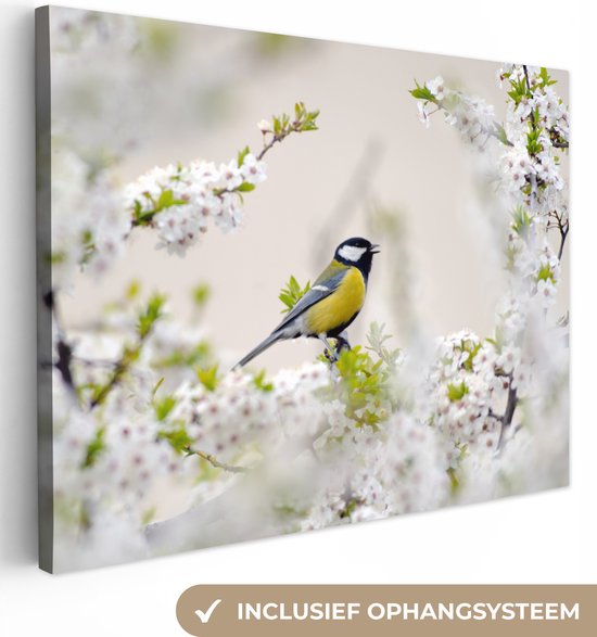 Canvas - Schilderij - Vogel - Koolmees - Bloemen - Bloesemboom - Wit - Schilderijen op canvas - Foto op canvas - 40x30 cm - Muurdecoratie - Woonkamer - Slaapkamer