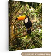 Canvas - Schilderij - Vogel - Toekan - Jungle - Natuur - Schilderijen op canvas - Canvas doek - 90x120 cm - Muurdecoratie - Slaapkamer