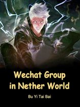 Volume 3 3 - Wechat Group in Nether World