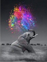 Peinture par numéro Adultes - Éléphant - Éléphant coloré - Nuages - Paquet Hobby - 40x50 cm