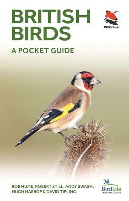 Boek 'BRITISH BIRDS A POCKET GUIDE' met een Europese Goudvink in detail op de voorkant.