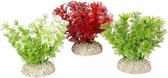 Auqa Della Plant hottonia Gemengde kleuren S - height 10cm, PER STUK !! GEEN KEUZE MOGELIJK !