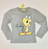 Tweety shirt lange mouw grijs gestreept maat 104