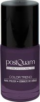 PostQuam nagellak professional - purple-rood - 10 ml