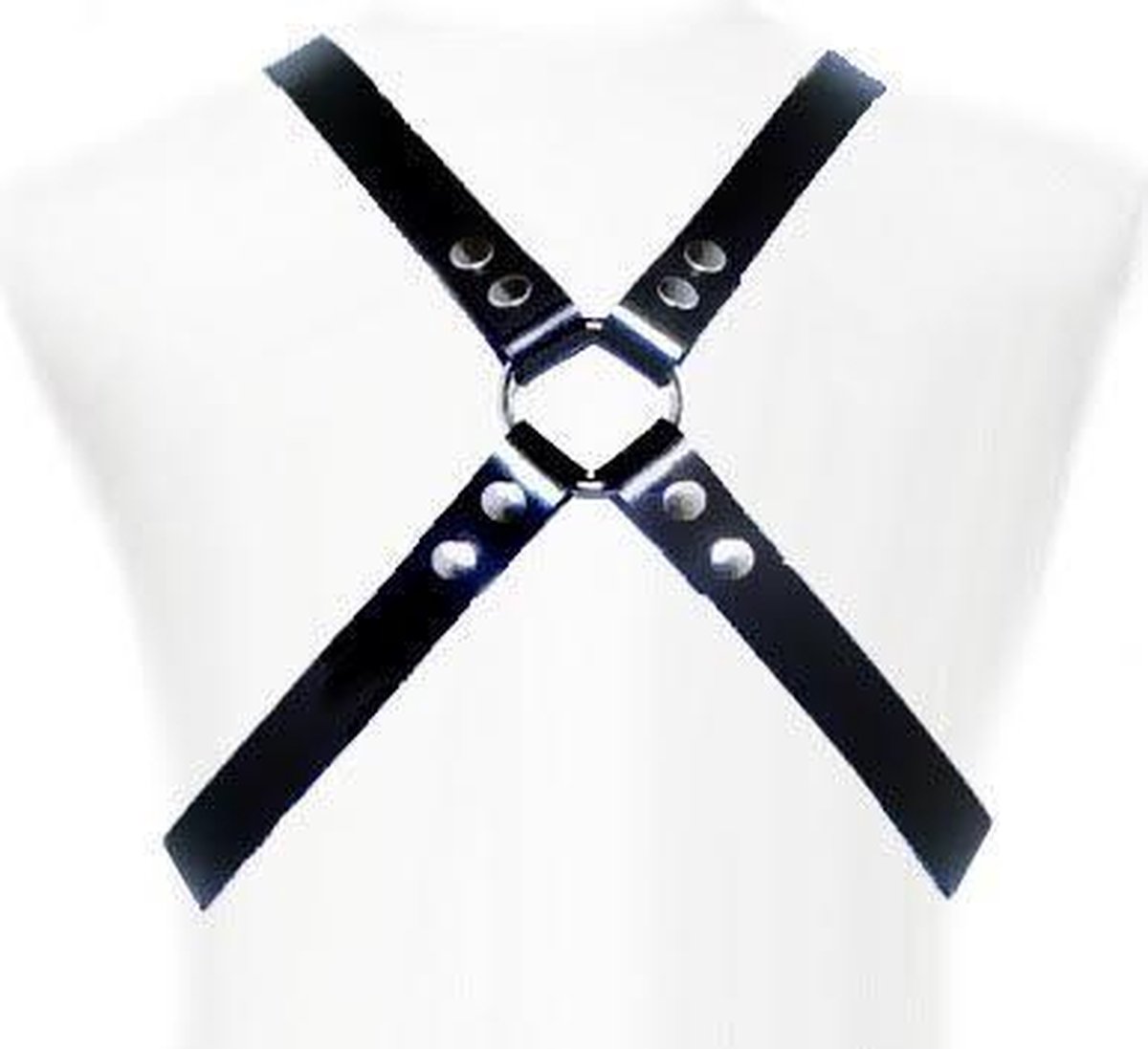 Leather Body - Basic Harnas