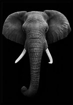 Dark Elephant A3 zwart wit dieren poster