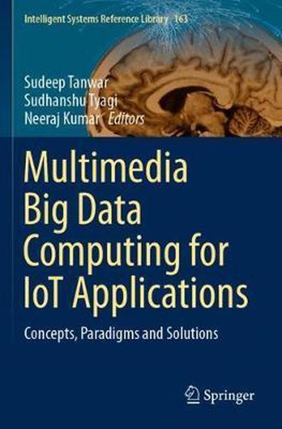 Multimedia Big Data Computing for IoT Applications | 9789811387616 ...