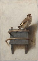 Het puttertje, Carel Fabritius - Foto op Forex - 30 x 45 cm