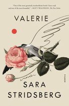 Valerie Or, the Faculty of Dreams A Novel