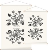 Gewoon Speenkruid zwart-wit (Lesser Celandine) - Foto op Textielposter - 120 x 180 cm