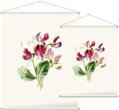 Pronkerwt (Sweet Pea White) - Foto op Textielposter - 45 x 60 cm