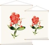 Brede Lathyrus (Everlasting Pea White) - Foto op Textielposter - 120 x 160 cm