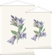 Ruig Klokje (Nettle Leaved Bellflower) - Foto op Textielposter - 90 x 135 cm