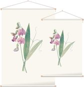 Brede Lathyrus (Everlasting Pea) - Foto op Textielposter - 60 x 90 cm