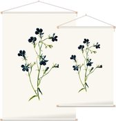 Tuinlobelia (Blue Lobelia White) - Foto op Textielposter - 60 x 90 cm