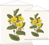 Hibbertia Aquarel (Hibbertia) - Foto op Textielposter - 120 x 160 cm