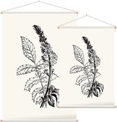 Agrimonie zwart-wit (Agrimony) - Foto op Textielposter - 60 x 90 cm