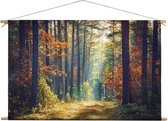 Bos in de herfst | 90 x 60 CM | Natuur |Schilderij | Textieldoek | Textielposter | Wanddecoratie