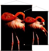 Flamingo op zwarte achtergrond - Foto op Textielposter - 120 x 180 cm