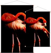 Flamingo op zwarte achtergrond - Foto op Textielposter - 90 x 135 cm