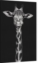 Giraffe op zwarte achtergrond - Foto op Canvas - 60 x 90 cm